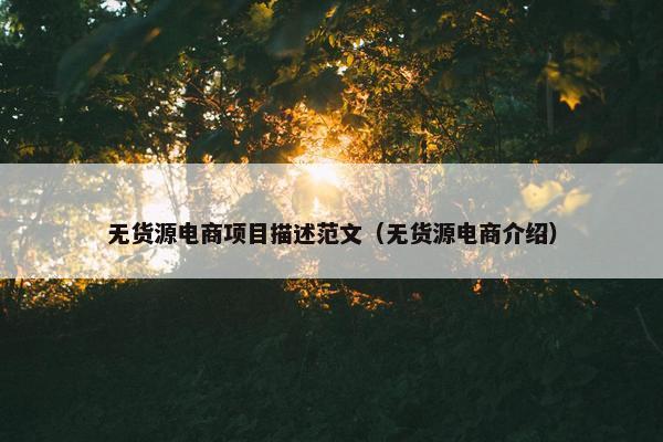 无货源电商项目描述范文（无货源电商介绍）