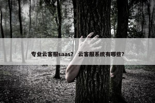 专业云客服saas？ 云客服系统有哪些？