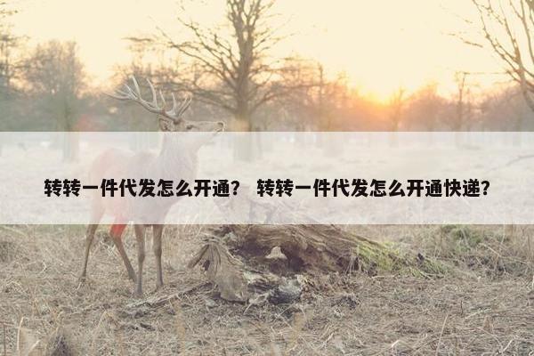 转转一件代发怎么开通？ 转转一件代发怎么开通快递？