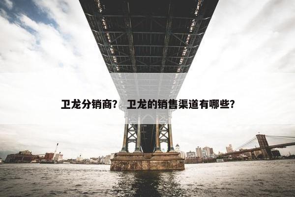 卫龙分销商？ 卫龙的销售渠道有哪些？