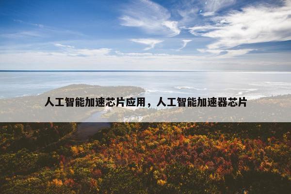 人工智能加速芯片应用，人工智能加速器芯片