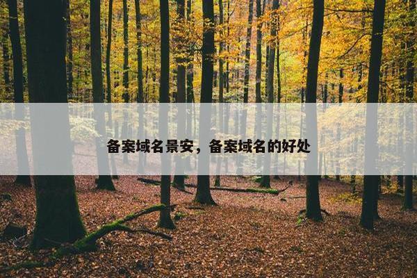 备案域名景安，备案域名的好处