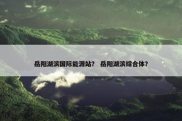 岳阳湖滨国际能源站？ 岳阳湖滨综合体？
