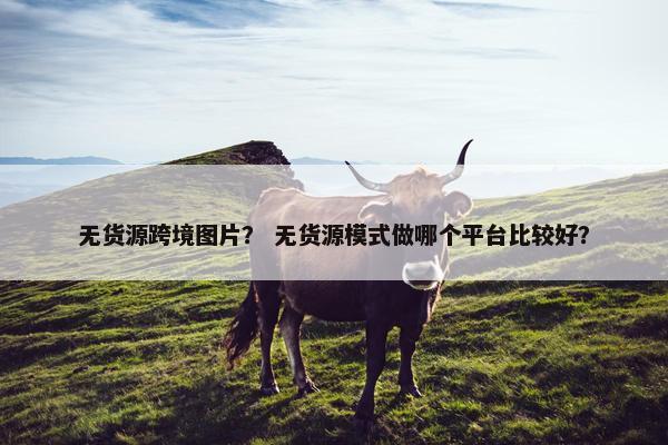 无货源跨境图片？ 无货源模式做哪个平台比较好？