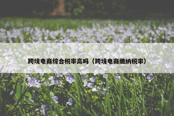 跨境电商综合税率高吗（跨境电商缴纳税率）