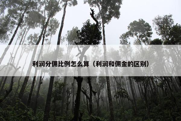 利润分佣比例怎么算（利润和佣金的区别）