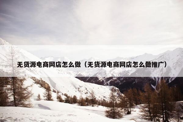 无货源电商网店怎么做（无货源电商网店怎么做推广）