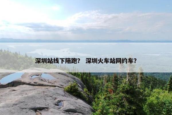 深圳站线下陪跑？ 深圳火车站网约车？