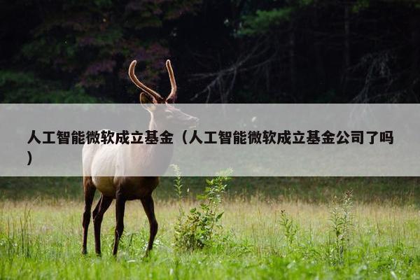 人工智能微软成立基金（人工智能微软成立基金公司了吗）