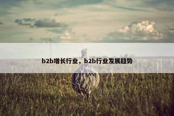 b2b增长行业，b2b行业发展趋势