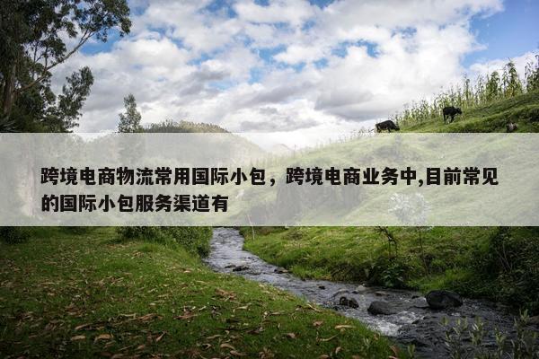 跨境电商物流常用国际小包，跨境电商业务中,目前常见的国际小包服务渠道有