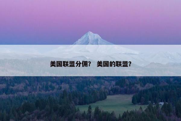 美国联盟分佣？ 美国的联盟？