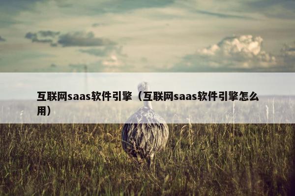 互联网saas软件引擎（互联网saas软件引擎怎么用）