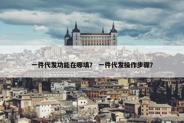 一件代发功能在哪填？ 一件代发操作步骤？
