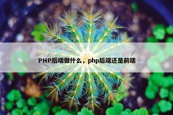 PHP后端做什么，php后端还是前端
