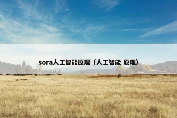 sora人工智能原理（人工智能 原理）
