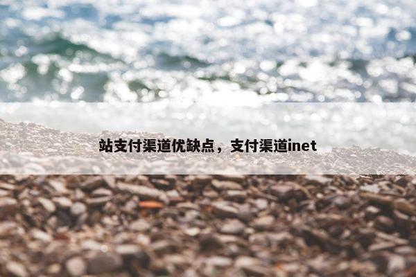 站支付渠道优缺点，支付渠道inet