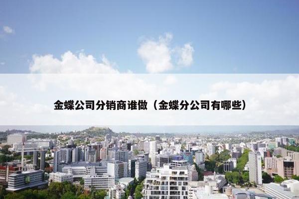 金蝶公司分销商谁做（金蝶分公司有哪些）