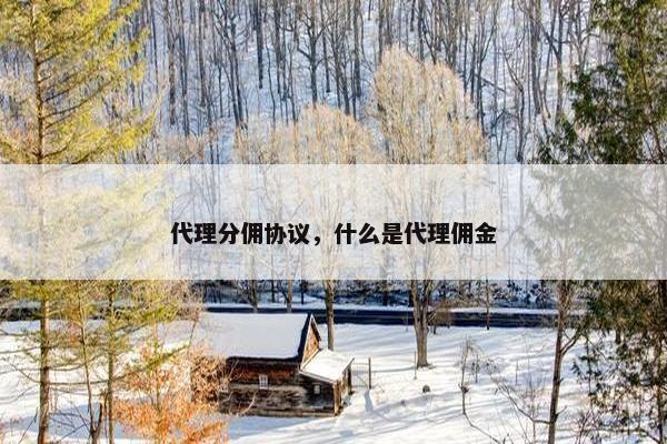 代理分佣协议，什么是代理佣金