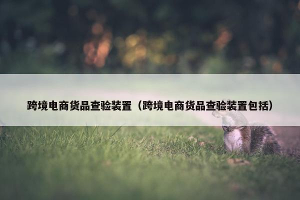 跨境电商货品查验装置（跨境电商货品查验装置包括）