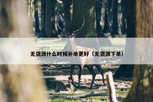 无货源什么时候补单更好（无货源下单）