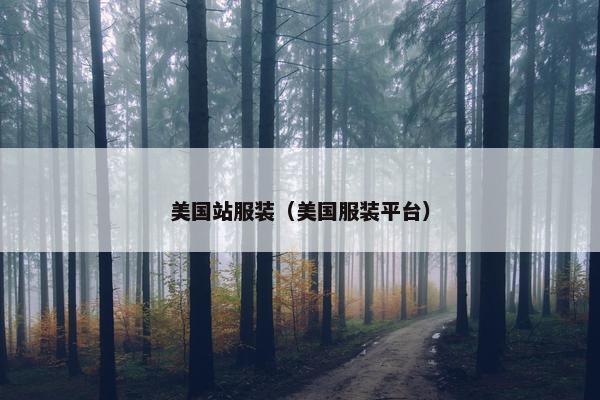 美国站服装（美国服装平台）