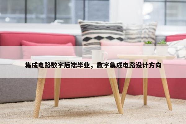 集成电路数字后端毕业，数字集成电路设计方向