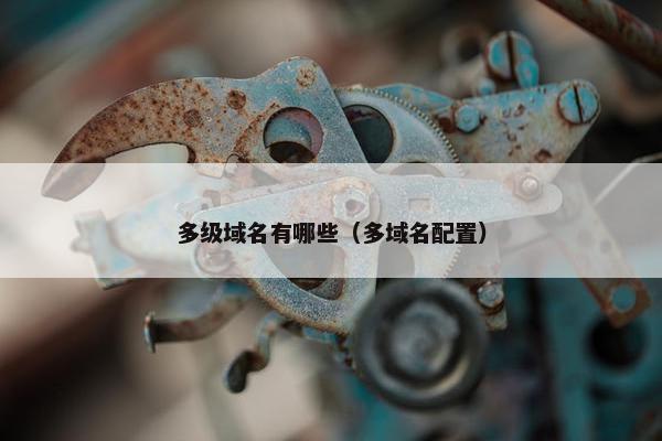 多级域名有哪些（多域名配置）
