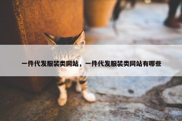一件代发服装类网站，一件代发服装类网站有哪些