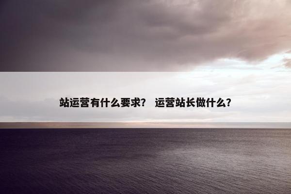 站运营有什么要求？ 运营站长做什么？