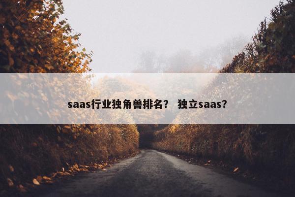 saas行业独角兽排名？ 独立saas？