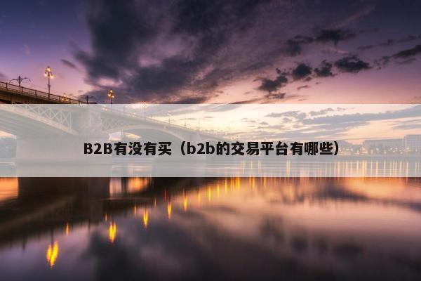 B2B有没有买（b2b的交易平台有哪些）