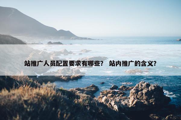 站推广人员配置要求有哪些？ 站内推广的含义？
