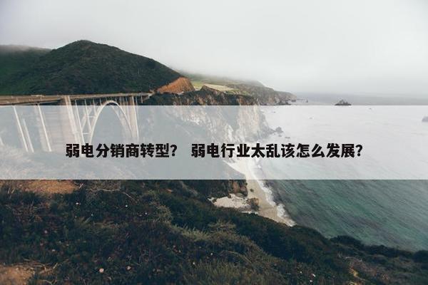 弱电分销商转型？ 弱电行业太乱该怎么发展？