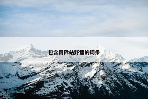 包含国际站野猪的词条