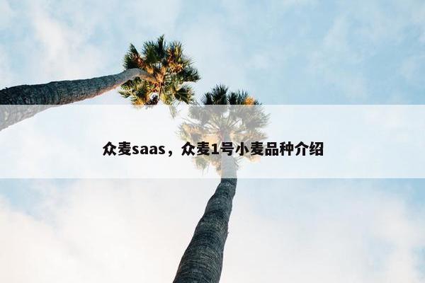 众麦saas，众麦1号小麦品种介绍