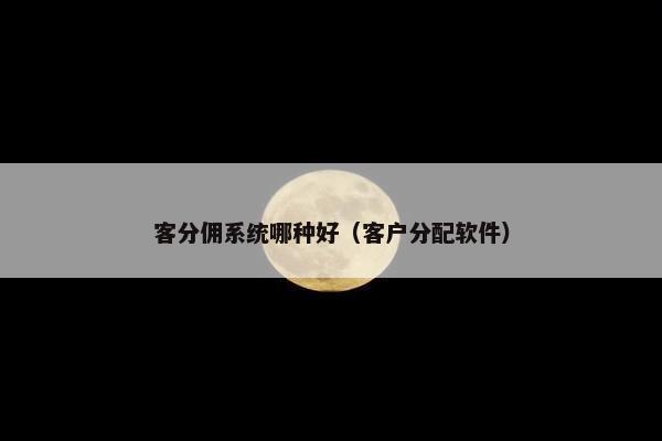 客分佣系统哪种好（客户分配软件）