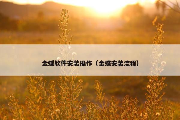 金蝶软件安装操作（金蝶安装流程）