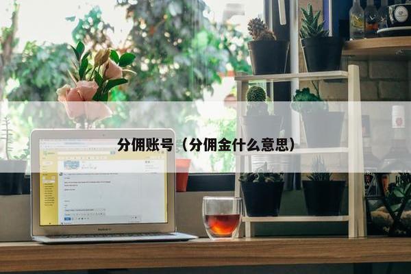 分佣账号（分佣金什么意思）