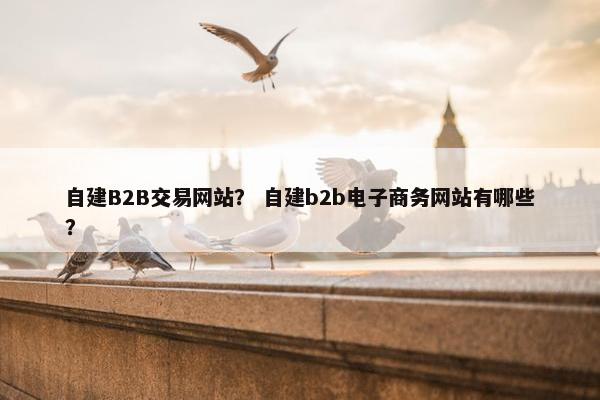 自建B2B交易网站？ 自建b2b电子商务网站有哪些？