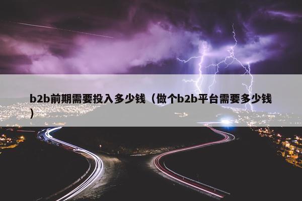 b2b前期需要投入多少钱（做个b2b平台需要多少钱）