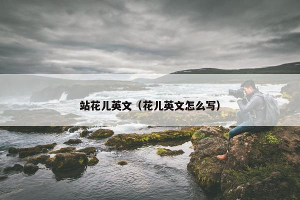 站花儿英文（花儿英文怎么写）