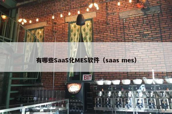 有哪些SaaS化MES软件（saas mes）