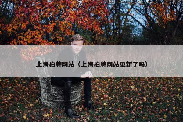 上海拍牌网站（上海拍牌网站更新了吗）