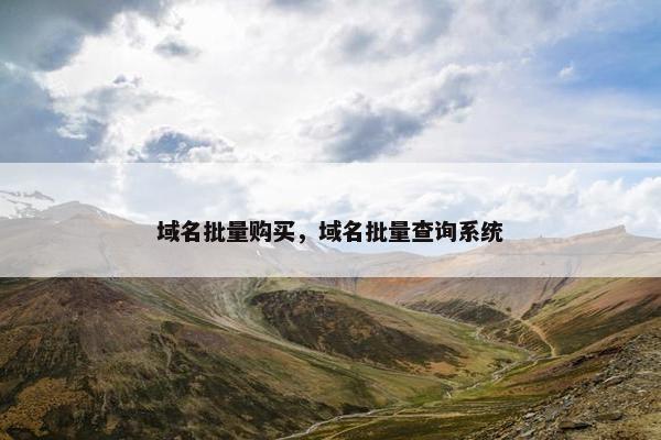 域名批量购买，域名批量查询系统