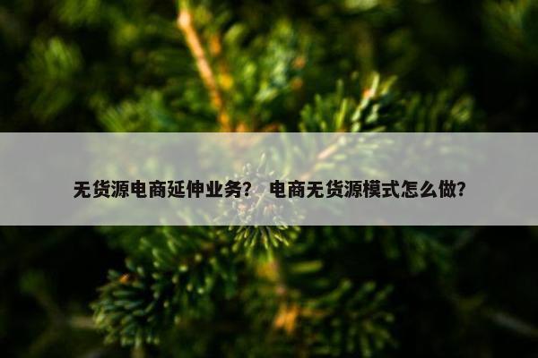 无货源电商延伸业务？ 电商无货源模式怎么做？