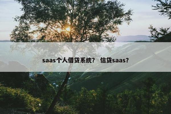 saas个人借贷系统？ 信贷saas？