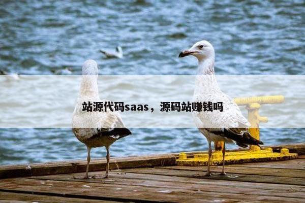 站源代码saas，源码站赚钱吗