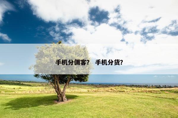 手机分佣客？ 手机分货？