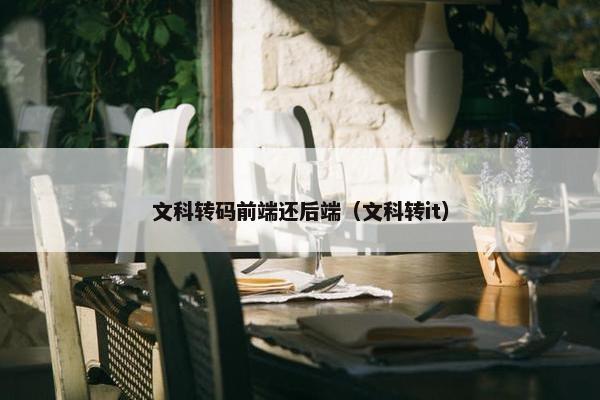 文科转码前端还后端（文科转it）